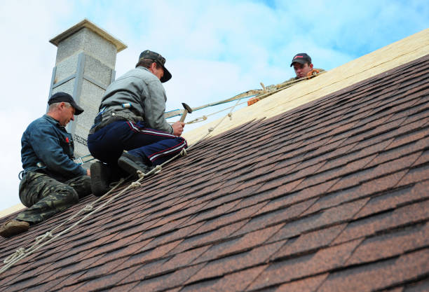 Best Roof Leak Repair  in Colony Rk, PA
