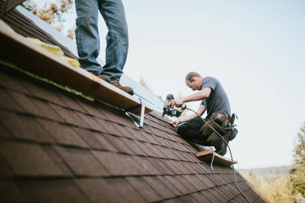 Best Gutter Installation and Roofing  in Colony Rk, PA